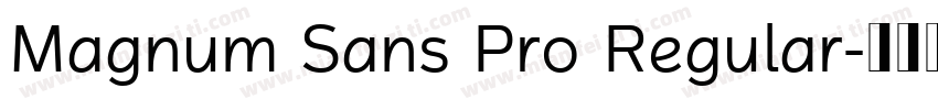 Magnum Sans Pro Regular字体转换